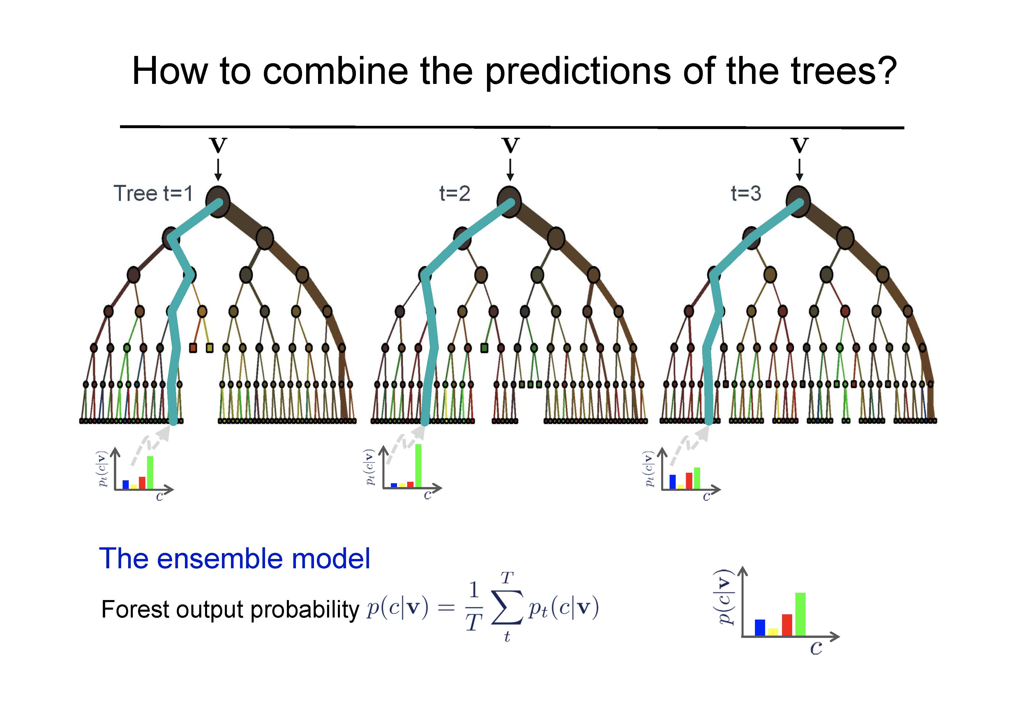 Building multiple trees and then combining the outputs (predictions).  Note that this image makes the choice to average the tree probabilities instead of using majority vote.  Both are valid methods for creating a Random Forest prediction model.  http://www.robots.ox.ac.uk/~az/lectures/ml/lect4.pdf